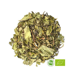 thé vert marrakesh menthe poivrée bio thé vrac haute qualité